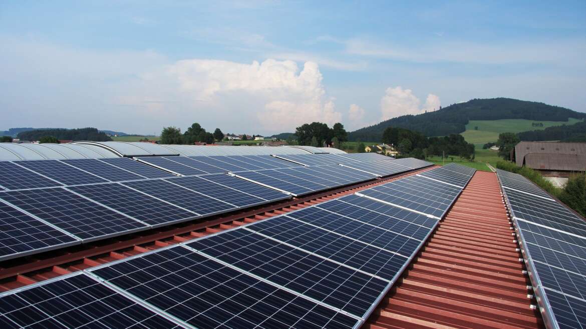 Switching to Sunlight: What to Look for in Solar Panel Companies