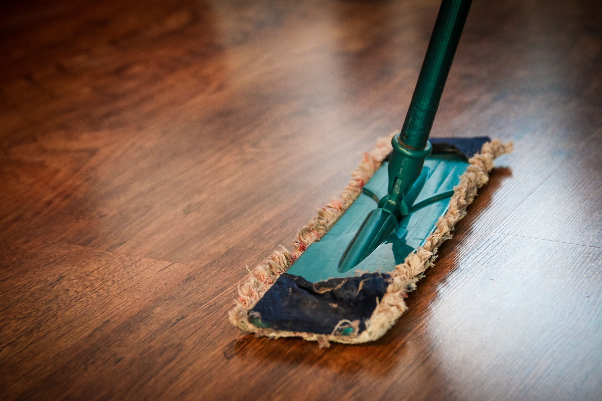 How to Tackle Cleaning Vinyl Plank Flooring - Gourmet Chick