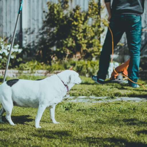 Getting Your Garden Ready For The Cold Weather