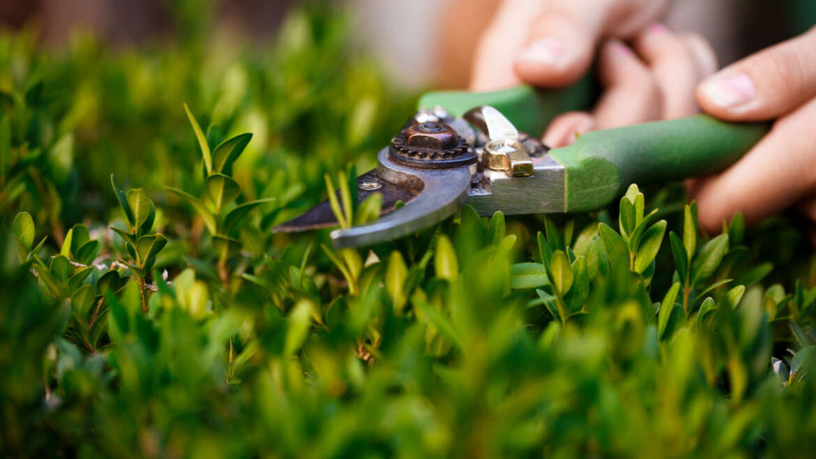 The Secret to Sharp Edges and Clean Paths