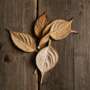Slippery Elm Benefits for Woman Sexually