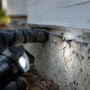 pest prevention tips