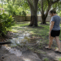 Landscape Design
