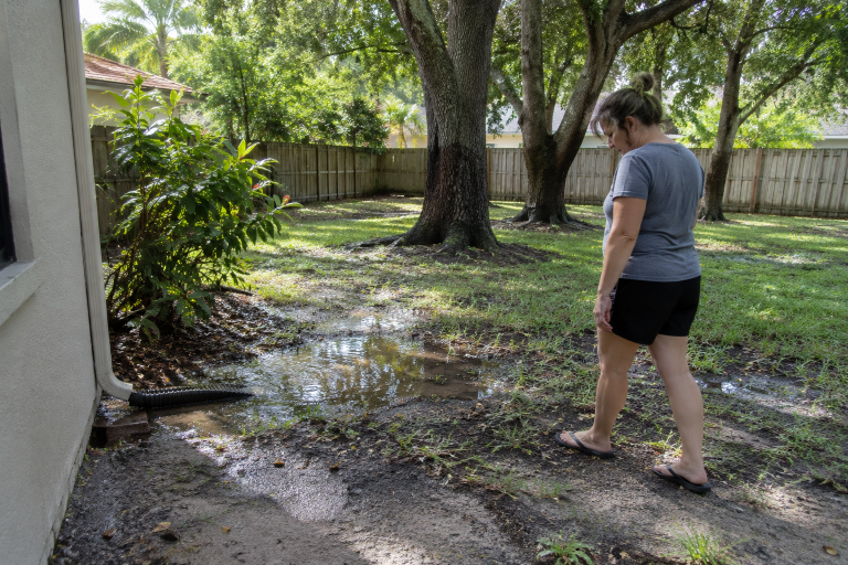 How to Plan a Low-Maintenance Outdoor Space That Works All Year in Ocala, Florida